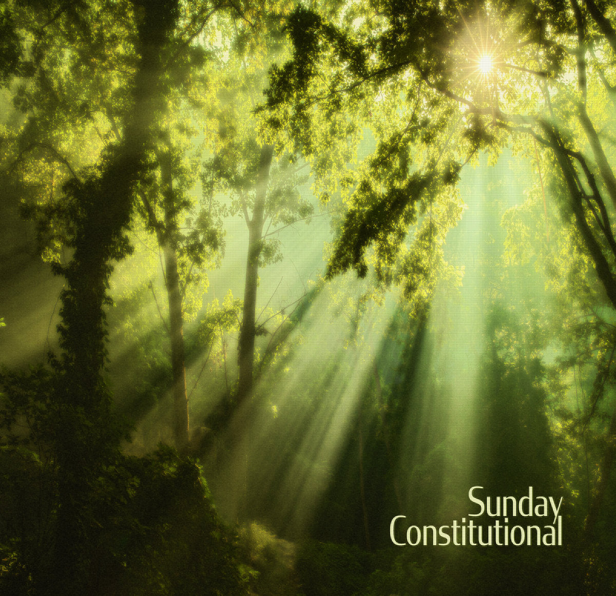 Andrulian - Sunday Constitutional [Downtempo] (Mystic Timbre - Tape - 7/14/20)