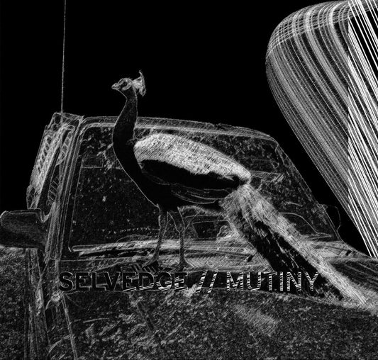 Selvedge - Mutiny [Experimental Electronic] (Tape - Mystic Timbre - 2020)